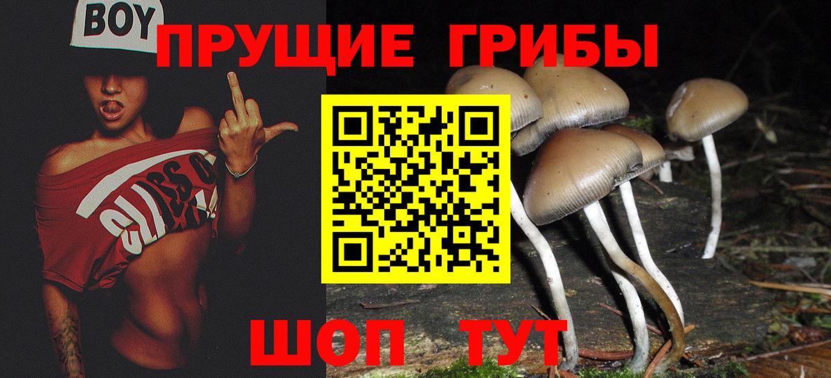 Псилоцибиновые грибы GOLDEN TEACHER Пугачёв